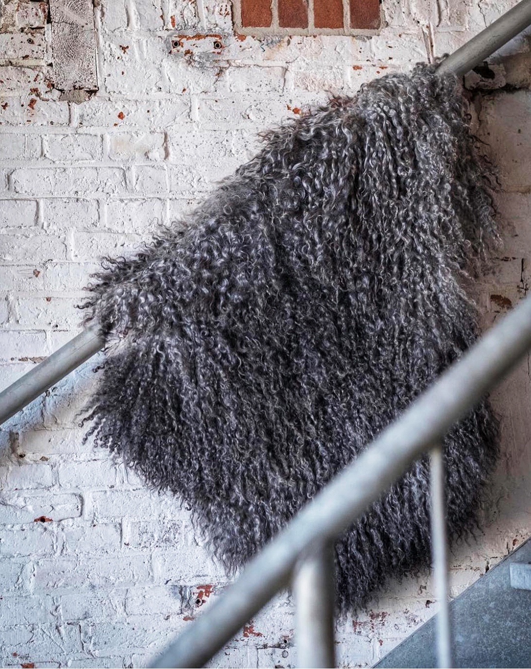 Schapenvachten schapenvachten